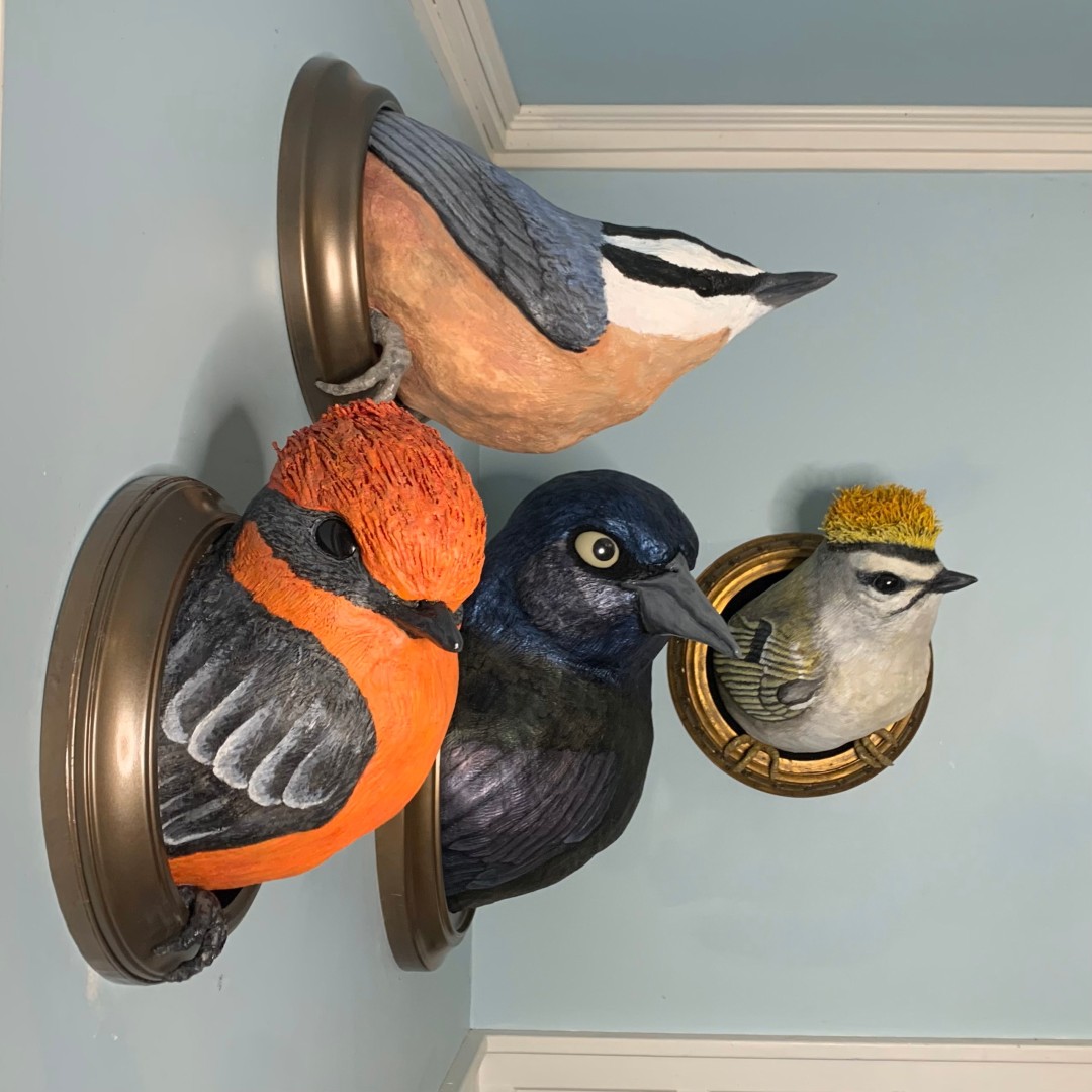 Birds by Julia Kremer